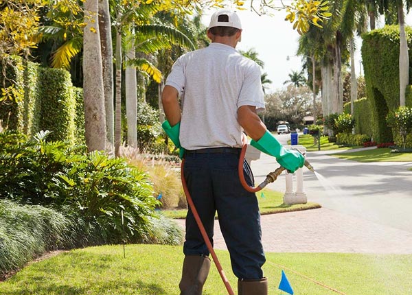 About Belgrade ME Pest Control Pros
